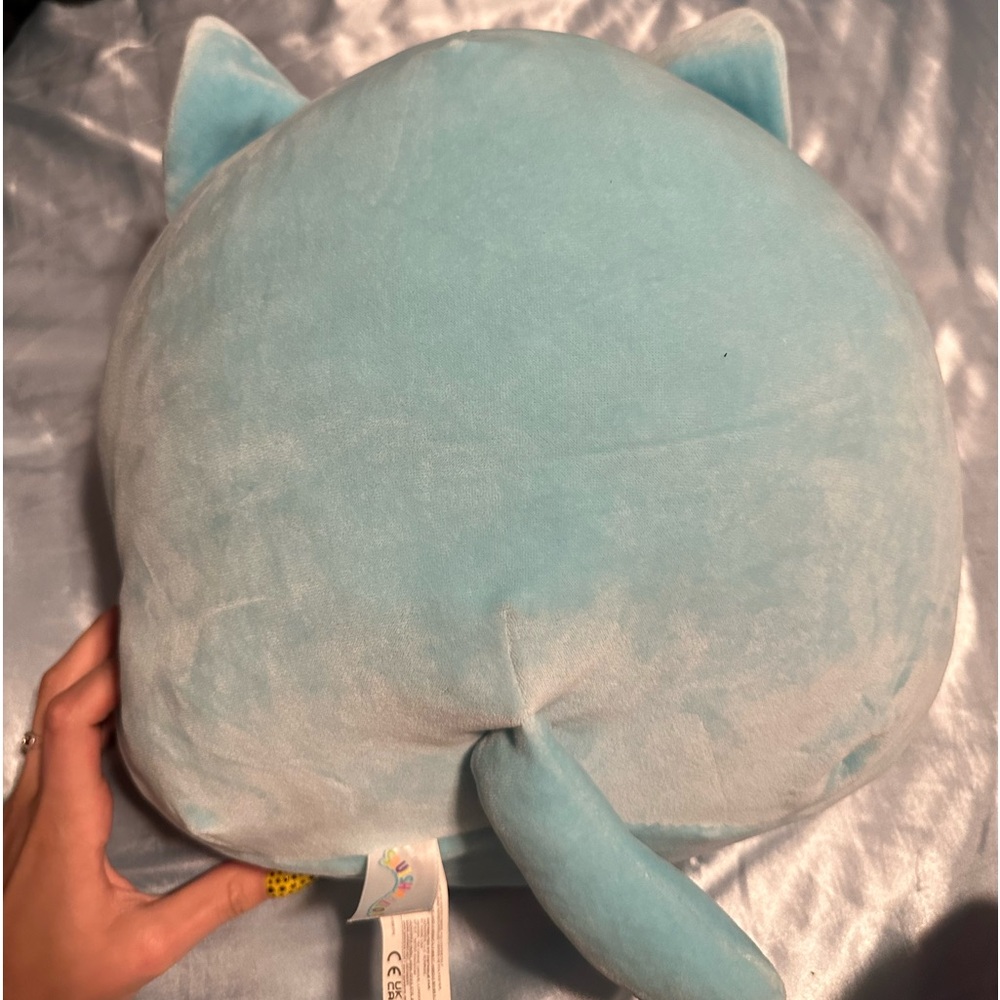 valentine cat squishmallow